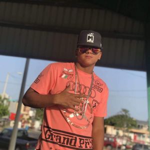 Meet your Posher, Hector